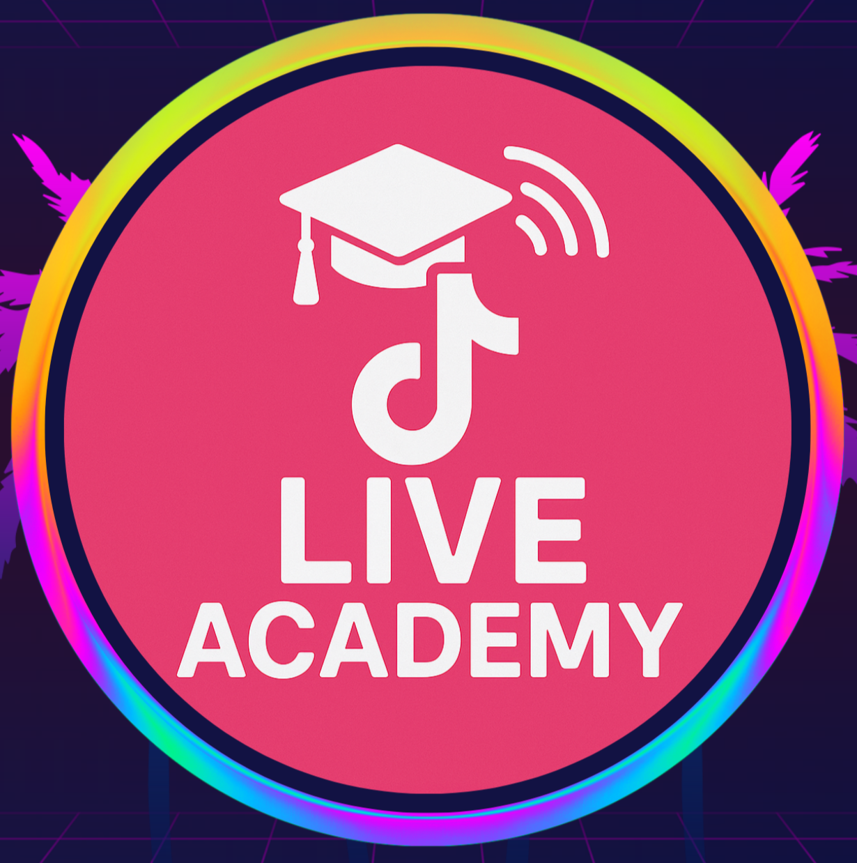 Top 3 TikTok Agency Awards 2024